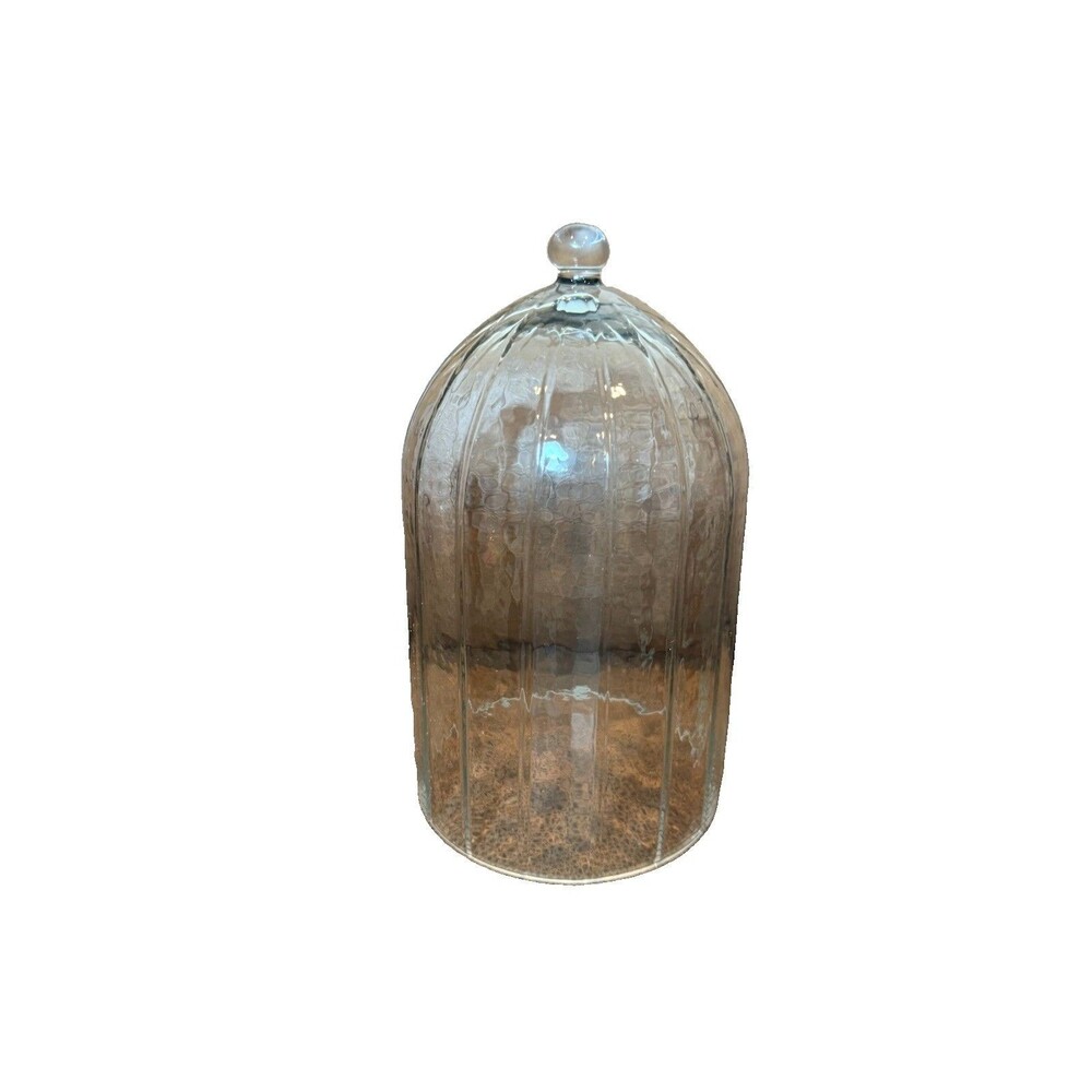 Cloche Clear Approx 10” Tall